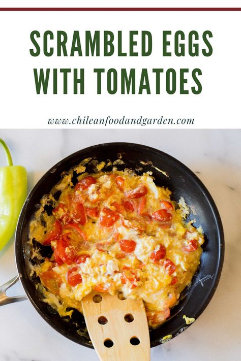 Pin for Scrambled eggs with tomatoes. Eggs Avocado Tomato Breakfast, Chilean Breakfast, Eggs And Tomatoes Breakfast, Scrambled Eggs With Tomatoes, Eggs With Tomatoes, Best Egg Recipes, Chilean Food, Tomato Breakfast, Scrambled Eggs Recipe