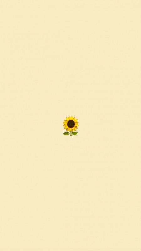 VSCO - cute-wallpapers-lockscreens Sunflower, Yellow, Wall, Green, White