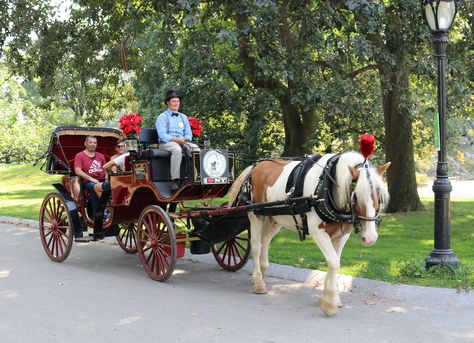 Central Park Carriage Ride, Central Park Map, Bethesda Fountain, Nyc Holidays, Carriage Ride, Peninsula Hotel, Magical Horses, Living History Museum, City Family