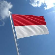 Monaco Flag, August Holidays, Animal Painter, Bahasa Jepun, Poland Flag, Poetry Day, Red And White Flag, Animal Cupcakes, Flag Day