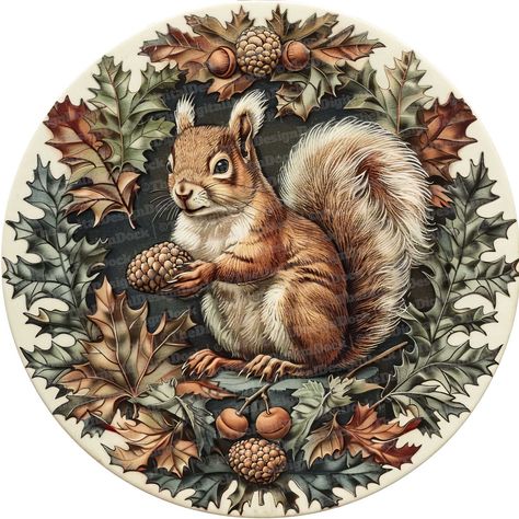 Indian squirrel