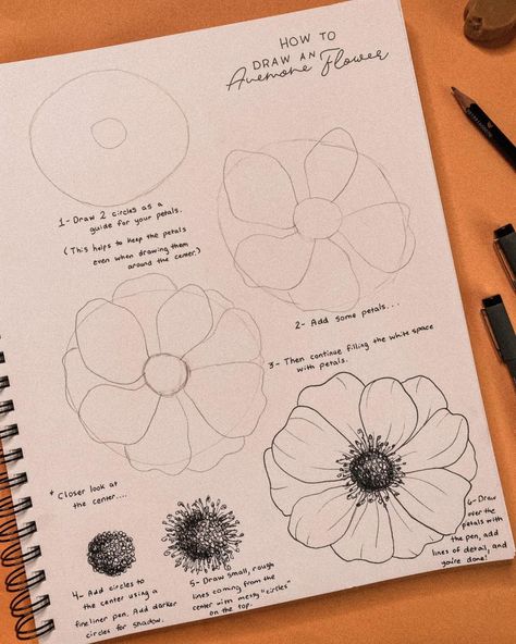 How To Draw Anemone Flower, Anemone Coronaria Drawing, Anemone Flower Watercolor, Anemones Drawing, Flower Tutorial Drawing, Hannah Drapinski, Anemone Flower Drawing, How To Draw A Flower, Anemone Flower Tattoo