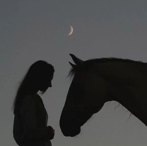 Girl And Horse Aesthetic, Girl With Horse Aesthetic, Cersei Aesthetic, Pony Photoshoot, Horse Riding Girl, Purple Powers, Horse Girl Aesthetic, Horse And Girl, Girl With Horse