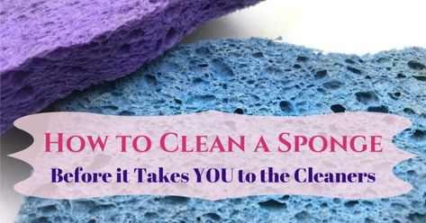 How to Clean a Sponge Before it Takes YOU to the Cleaners How To Clean A Sponge, Clean Stuffed Animals, Diy Sponges, Cleaning Tips And Tricks, Life Hacks Every Girl Should Know, Easy Cleaning Hacks, Remove Stains, Kitchen Sponge, Distilled White Vinegar