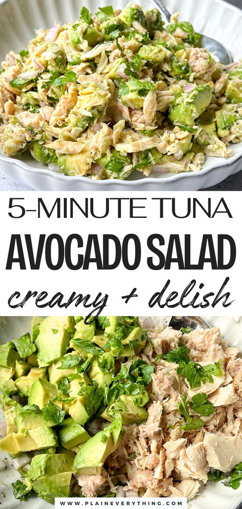 Avocado Tuna Salad | Quick + High Protein Tuna Avocado Dip, Cilantro Tuna Salad, Clean Tuna Recipes, Tuna Salad Keto Recipes, Tuna Salad For Diabetics, Tuna Avocado Egg Salad, Delicious Tuna Salad Recipe, No Cook Healthy Dinner, Tuna Salad Healthy Recipe