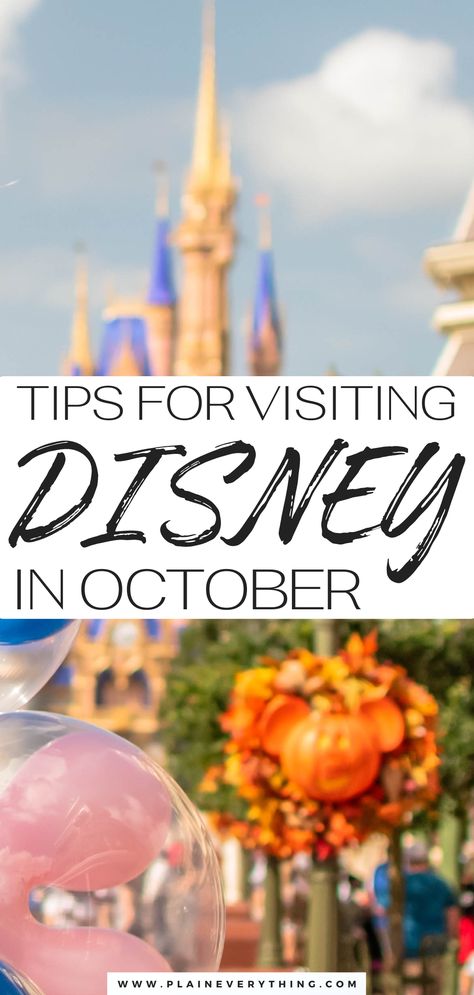 Disney World in October Fall Decor In Florida, What To Pack For Disney World In October, Fall At Disney World, Disney In October, Disney World October, Halloween At Disney World 2023, Disney World In October, Disney October, Disneyland October