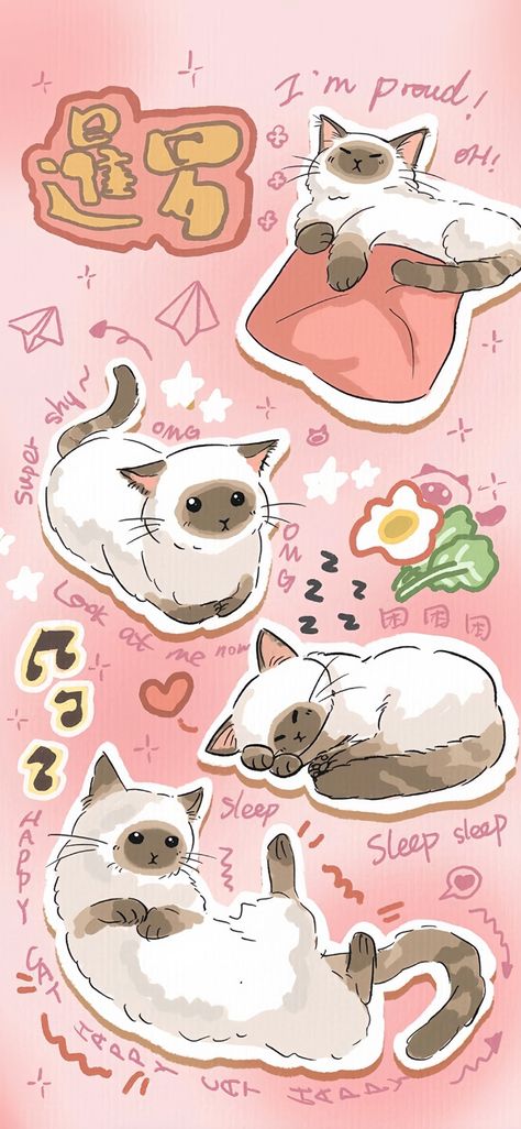 الفن الرقمي, Cocoppa Wallpaper, Wallpaper Doodle, Cute Patterns Wallpaper, Kawaii Wallpaper, Cat Wallpaper, Cute Backgrounds, Siamese Cats, Cute Wallpaper Backgrounds