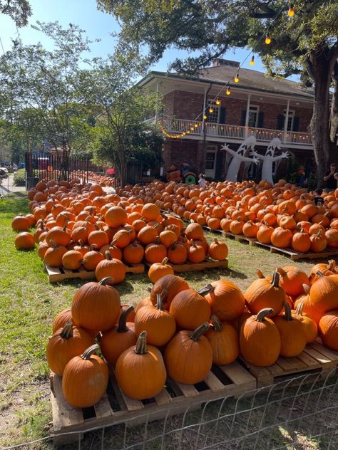 American Halloween Aesthetic, Family Halloween Aesthetic, Pumpkin Patch Aesthetic, Fall Aesthetic Halloween, American Halloween, Patch Aesthetic, Usa Aesthetic, Autumn Princess, Autumn Fall Aesthetic