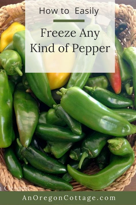 Freezing Hot Peppers From Garden, Freezing Sweet Peppers, Freezing Peppers How To, Can You Freeze Green Peppers, How To Freeze Sweet Peppers, How To Preserve Peppers From Garden, Freeze Peppers From Garden, How To Freeze Fresh Peppers, Freeze Peppers How To