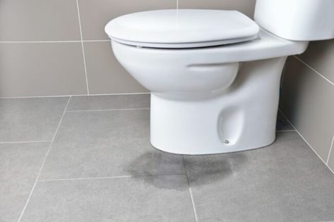 Leaky Toilet, Toilet Plumbing, Leaking Toilet, Toilet Drain, Residential Plumbing, Toilet Repair, Toilet Cistern, Plumbing Emergency, Plumbing Problems