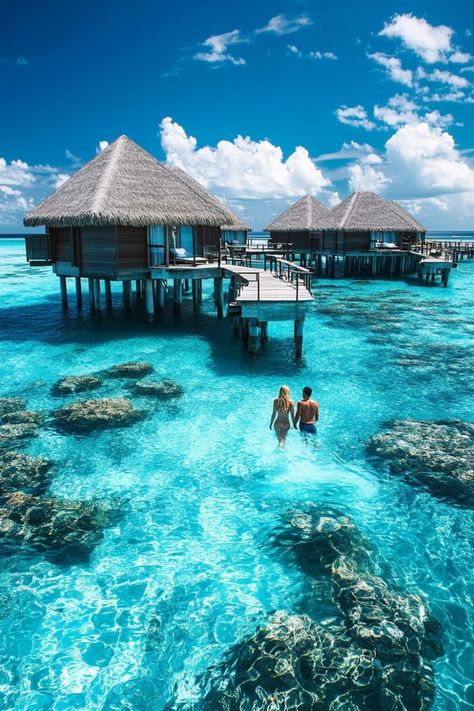 Escape to the Maldives with your partner for a dreamy romantic getaway. Stay in an overwater bungalow, enjoy snorkeling, spa treatments, and intimate dinners under the stars. 🏝️💫🌺 #MaldivesRomance #CouplesRetreat #TropicalLove Maldives Aesthetic Couple, Maldives Couple Photos, Maldives Couple, Maldives Male, Maldives Villa, Maldives Villas, Maldives Honeymoon, Overwater Bungalows, Couple Travel