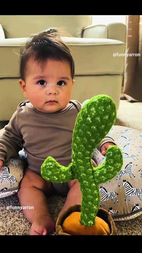 the reaction of the babies in dancing cactus available now link below #funny #funnyvideos #cactus #dancingcactus #fyp #fypシ Funny Baby Videos Dancing, Have A Nice Day Cute, Baby Funny Videos, Funny Babies Dancing, Funny Babies Laughing, Cactus Toy, Dancing Cactus, Baby Singing, Funny Baby Gif