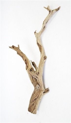 Branch Sculpture Art, Branch Installation, Ground Branch, Tree Branch Installation, Wood Branch In Vase, Stick Photo, Wood Branch, Florist Design, Deer Valley