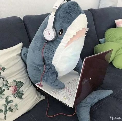 Stuffed Shark, Silly Shark, Silly Sharks, Shark Stuff, Shark Pictures, Shark Plush, Cute Shark, Marine Biology, Marine Animals