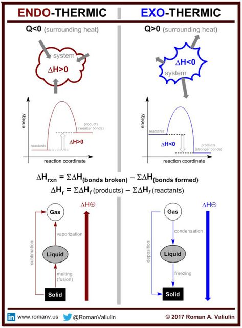 Exothermic-Endothermic Processes Enzymology Notes, Thermochemistry Notes, Endothermic And Exothermic, Chemistry Help, Organic Chemistry Study, Gcse Chemistry, Chemistry Study Guide, Chemistry Basics, Study Chemistry