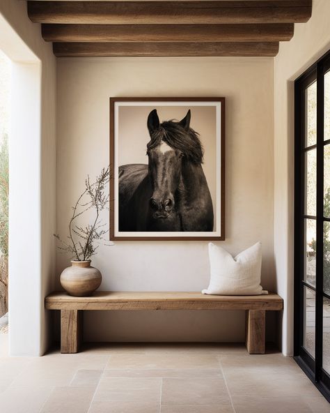 Photo of Lancelot, a beautiful black Percheron gelding, retired at the Mill Creek Farm. 30% of the sale through this site will be donated to the organisation, The Retirement Home for Horses, Inc. in Alachua, Fl. The Mill Creek Farm. Shop for a cause and help us to provide a lifetime care for elderly horses. INSTANT DIGITAL DOWNLOAD With this purchase you get an instant digital download that includes 5 High Quality JPG images (300dpi resolution) in 5 different ratios: ✔ 2x3 ratio Inches: 4x6", 6x Horse Wall Pictures, Equestrian Interior Design, Black Percheron, Equestrian Room, Equestrian Chic Decor, Percheron Horse, Horse Home Decor, Horse Bedroom, Percheron Horses