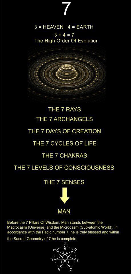 The Seven Chakras, Days Of Creation, Online Psychic, Levels Of Consciousness, Spirit Science, Seven Chakras, E Mc2, Quantum Physics, Number 7