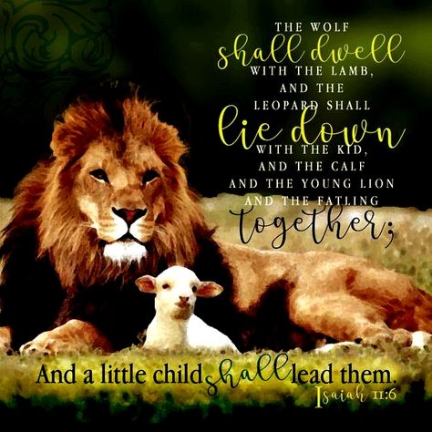 Isaiah 11:6 Lion And The Lamb, Isaiah 11, Lion And Lamb, Bible Study For Kids, Christian Quotes Prayer, Scripture Pictures, The Lamb, Lion Of Judah, Prayer Warrior