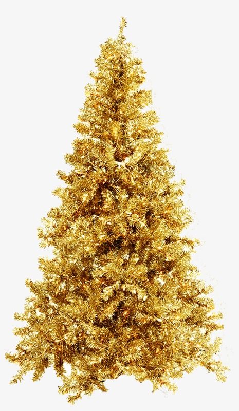 Christmas,Golden,gold,Christmas tree,luxurious Golden Christmas Tree, Christmas Tree Gold, Gold Png, Christmas Graphic Design, Xmas Pictures, Christmas Tree Background, Christmas Tree Png, Christmas Tree Clipart, Golden Christmas