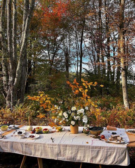 Wattle Fence, Old Farmer, Fall Picnic, Dahlia Tubers, Outdoor Dinner Parties, Dinner Club, Change Is Coming, Overwintering, New England Fall