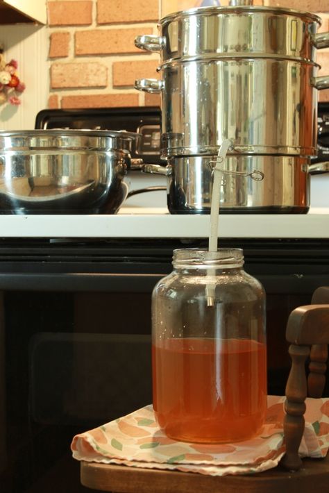 Canning Apple Juice With Juicer, Juice Steamer Recipes, Homemade Apple Juice With Juicer, Steam Juicer Recipes Canning, Steam Juicer Recipes, Canning Apple Cider, Canning Apple Juice, Steam Juicer, Apple Cider Juice