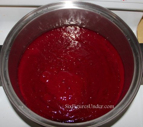 Plum Sauce Recipe Chinese, Canning Plums, Plum Sauce Recipe, Canned Plums, Plum Juice, Harissa Recipes, Pressure Canning Recipes, Plum Recipes, Canning Fruit