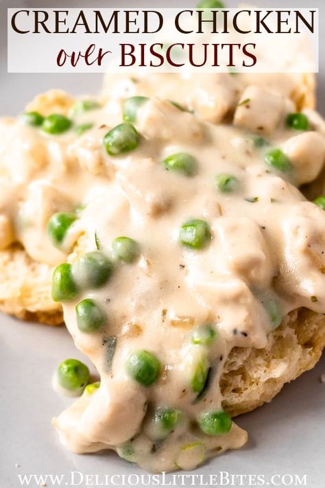 Chicken Gravy With Biscuits, Rotisserie Chicken Gravy Recipes, Instant Pot Chicken And Biscuits Recipe, Cream Of Chicken And Biscuits, Recipes Rotisserie Chicken Leftovers, Leftover Chicken And Gravy Recipes, Creamed Turkey Over Biscuits, Crockpot Recipes With Rotisserie Chicken, Leftover Biscuit Recipes