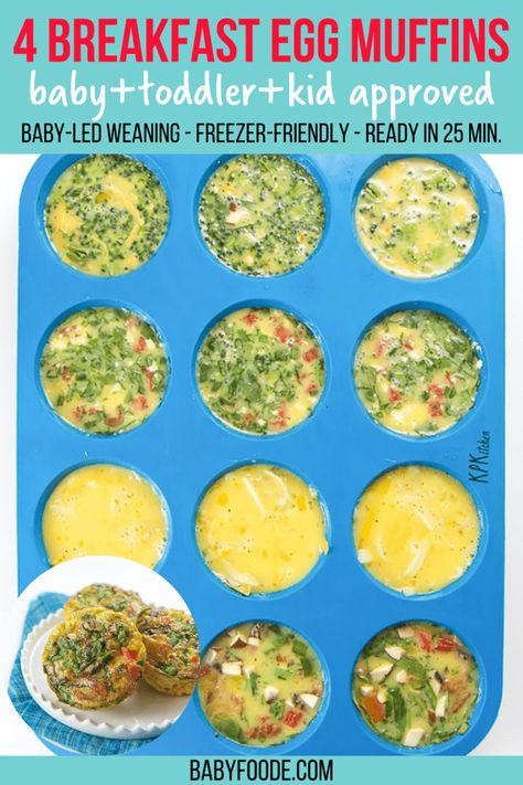 These healthy Breakfast Egg Muffins come in four different tasty combinations and are filled with veggies, eggs, cheese and even bacon! A filling and nutritious breakfast for your baby, toddler, and kids that are perfect for on-the-go eating. They can even be frozen and reheated for a quick breakfast. Great for Baby-Led Weaning! #egg #baby #toddler #kid #breakfast Recipes For 12 Month Old Meal Ideas, Weaning Breakfast Ideas, Blw Breakfast Muffins, Blw Egg Muffins, Egg Muffins For Toddlers, Veggie Muffins For Baby, Healthy Baby Led Weaning Meals, Toddler Egg Muffins, Toddler Egg Recipes