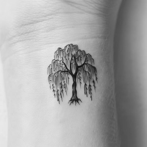 Tiny Willow Tree Tattoo, Morning Tattoo Ideas, Willow Tree Arm Tattoo, Tattoos To Symbolize Growth, Wheeling Willow Tree Tattoo, Weeping Willow Tattoo Simple, Willow Tree Tattoo Designs, Tree Hugger Tattoo, Willow Tree Tattoo Small Simple