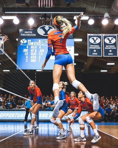 Florida Gators Volleyball, Uf Volleyball, Volleyball Action Shots, Florida Volleyball, High School Vision Board, Volleyball Vibes, Ncaa Volleyball, Volleyball Pics, College Volleyball