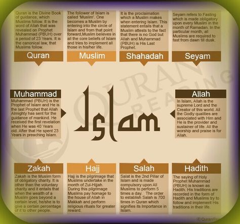 Islam... Basic Islamic Knowledge, Islam Basics, Facts About Islam, Prophets In Islam, Coran Quotes, What Is Islam, Islam Lesson, Muslim Religion, History Of Islam