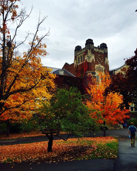 This picture describes Geneseo to me because Sturges is one of the buildings here that everyone photographs especially during Geneseo's beautiful fall season. Suny Geneseo, Fall In College Aesthetic, Fall Meadow Aesthetic, Fall Towns Aesthetic, Autumn Neighborhood Aesthetic, Connecticut Fall Foliage, Michigan State University, Michigan State, It's Fall