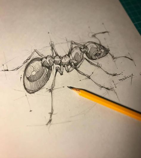 Animal Drawings Sketches, Art Sketches Pencil, Sketch Artist, Insect Art, Pencil Art Drawings, Animal Sketches, Arte Animal, Tattoo Sketches, Pencil Sketch