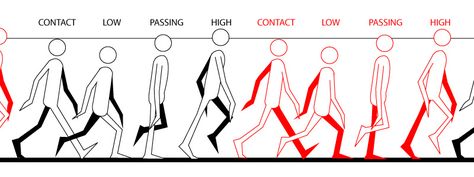 Walk Cycle Reference, Animation Walk Cycle, Jump Animation, Cycle Drawing, Walking Animation, Walk Cycle, Learn Animation, Richard Williams, Flash Animation