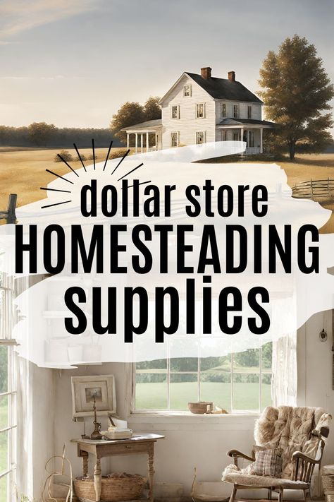 Who says you need to break the bank to live off the land? 🤔 Discover how to create your own homesteading haven without emptying your wallet! 💸💚 We're sharing our top tips and tricks on making the most of your dollar store homesteading supplies to create a sustainable lifestyle! 🏡🌱🌿🌼✨ Homesteading Without Land, Tiny Home Homestead, Small Scale Homesteading, Farm Tips And Tricks, Homestead Necessities, Off Grid Living Self Sufficient, French Homestead, Micro Homesteading, Simple Homesteading