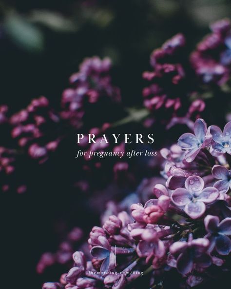 Prayers for Pregnancy After Loss Prayers For Pregnancy, Pregnant After Loss, Pregnancy Prayer, Pregnancy After Loss, Trying To Conceive, Infant Loss, The Morning, Bible Study, Gratitude