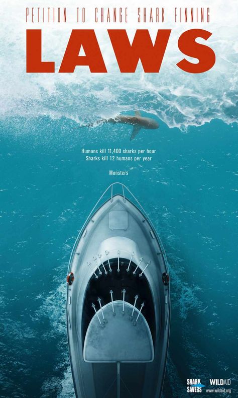 Wild Aid:  Shark Finning Laws Monster Shark, Save The Sharks, Shark Conservation, Save Our Earth, Anne With An E, Marine Biology, Shark Week, Marine Animals, Save Earth