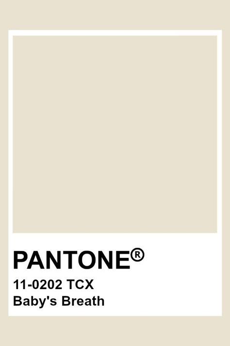 Off White Pantone, Pantone White, White Pantone, Pantone Tcx, Pantone Color Chart, Pantone Swatches, Pantone Palette, Beige Color Palette, Pantone Colour Palettes