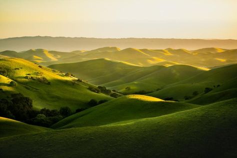 Livermore California, Windows Wallpaper, New Windows, Garden Aesthetic, Field Of Dreams, National Photography, Autumn Scenes, Nature View, Earth Lover