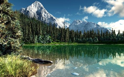 Take me home to Coloradooooo. Rocky Mountains Rocky Wallpaper, Wallpaper Mountain, Scenic Wallpaper, Mountain Wallpaper, Mountain Vacations, Lake Forest, Beautiful Landscape Wallpaper, Us National Parks, Rocky Mountain National