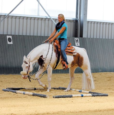 Horsemanship Patterns, Pole Exercises, Western Dressage, Riding Exercises, Dressage Exercises, Horse Poses, Trail Riding Horses, Farm Inspiration, Horse Behavior