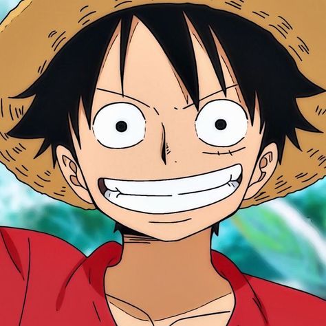 Luffy Portrait, Luffy Drawing, Luffy Icon, Portrait Reference, Zoro Nami, One Piece Wallpaper Iphone, Drawing Portrait, One Peice Anime, Monkey D Luffy