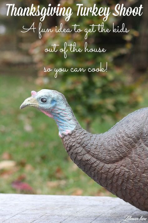 Thanksgiving Turkey Shoot - Today I am sharing one of our family's FAVORITE traditions, a Thanksgiving Turkey shoot.  If you are looking for a fun idea to get your kids out of the house so you can finish cooking, THIS IS IT!!! #turkeyshoot #thanksgiving #thanksgivingtradition http://lehmanlane.net Nerf Bow And Arrow, Thanksgiving Table Settings Simple, Kids Chalkboard, Kids Play Spaces, Window Poster, Fall Stuff, Thanksgiving Traditions, Thanksgiving Table Settings, Farmhouse Ideas