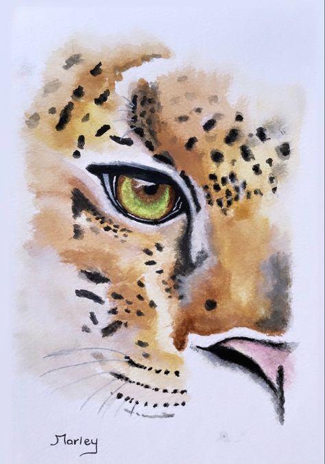 Drawing Ideas Leopard, Watercolor Art Animals, Jaguar Painting, Watercolour Jungle Animals, Watercolor Jaguar, Jaguar Painting Acrylic, Leopard Watercolor Painting, Cheetah Painting, Cheetah Watercolor Painting