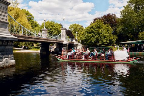 Boston Swan Boats | Back in the Paddle - New England Today Canobie Lake Park, Swan Boats, Boston Travel Guide, Aroostook County, Visiting Boston, Boston Travel, Spring Things, New England Travel, Mount Washington