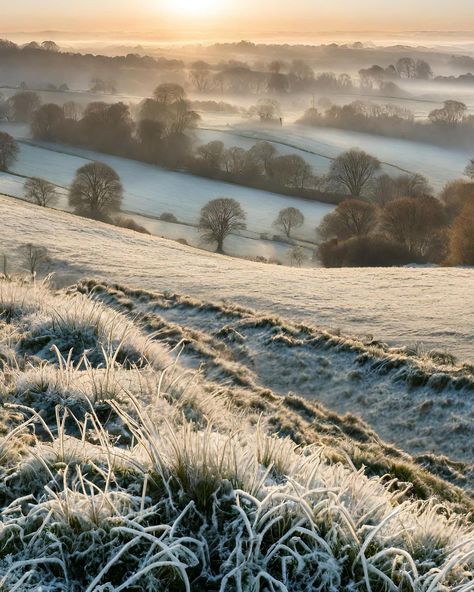 Remember that frosty morning a few weeks back. Here’s one of fav shots of it from high on the sheepwalks. #igers #love #frost #mood… | Instagram Nature, Frosty Morning Aesthetic, Frost Aesthetic, September Halloween, Romanticizing Winter, Upcycled Wedding Dress, Scene Inspiration, Morning Frost, Red Cheeks