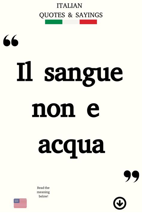 Italian Saying: Il sangue non e acqua Italian Family Quotes, Funny Italian Sayings, Poetic Love Quotes, Family Quotes And Sayings, Italian Family, Italian Humor, Italian Life, Italian Quotes, Perfect Word