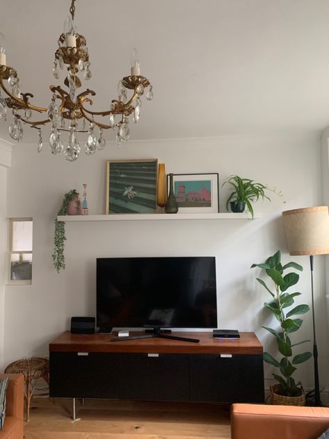 Styling a shelf above your TV @no5_blackfriars House plants Tv Room Shelf Decor, Shelf About Tv, Above Tv Wall Decor Living Room Stand, Tv On A Shelf, Plants Around Tv Stand, Hanging Shelves In Living Room, Tv Stand Plant Decor, Shelf Over Tv Bedroom, Shelf Above Tv On Wall