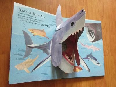 'Animals Everywhere' Children's Wildlife Pop-up Book by Jonathan Woodward Arte Pop Up, Diy Pop Up Book, Pop Up Card Templates, Pop Up Art, Animal Book, Interactive Book, Book Design Layout, Up Book, Kids Story Books