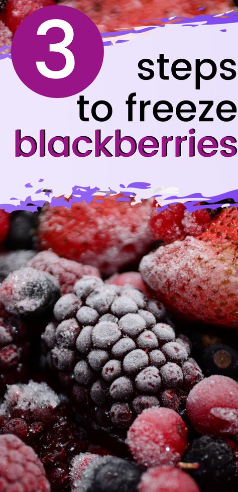 What To Do With Blackberries, Freezing Blackberries, Preserving Blackberries, Freeze Blackberries, Stocked Freezer, Freeze Fruit, Freezing Peppers, Wild Blackberries, Blackberry Bush